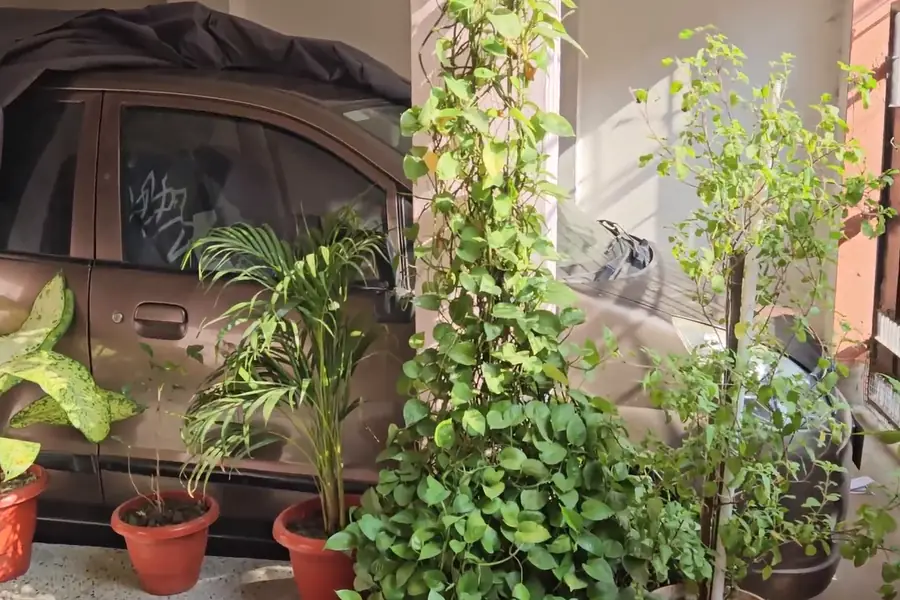 Courtyard at the hostel